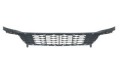 K2'11 FRONT BUMPER GRILLE