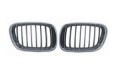 BMW E53 '04-'05  GRILLE(CHROME)