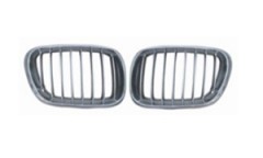 BMW E53 '99-‘03 GRILLE SILLE SILVER