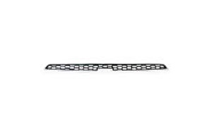 CRUZE'09 GRILLE