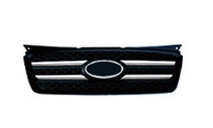 PICANTO'06 GRILLE