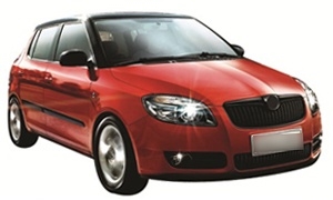 FABIA'08 Car