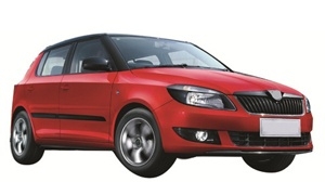 FABIA'11 Car