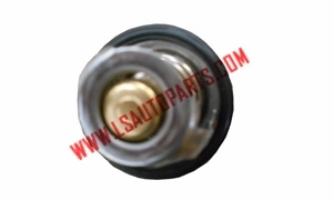 N300/RONG GUANG THERMOSTAT