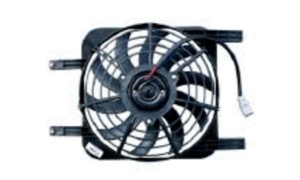 BYD  FAN