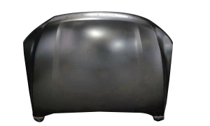 POER SERIES 2019 Passenger model HOOD