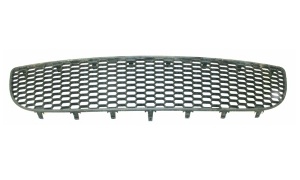 VW BEETLE 2006 BUMPER GRILLE(CENTER)