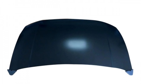 chevrolet 2020 N400 HOOD