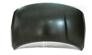 SUNNY-VERSA1'14  HOOD
