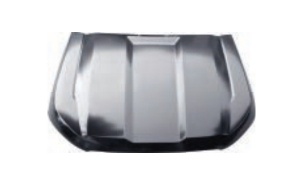 RANGER 2020 HOOD