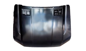 RANGER RAPTOR 2022 HOOD