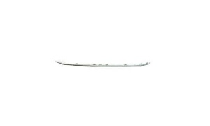 VIGUS 5 2019 GRILLE DECORATIVE STRIP 3 （4WD）