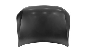 AMAROK'10 HOOD