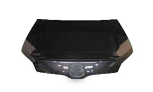 PROBOX/SUCCEED'12 HOOD